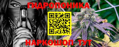 apvp Кунгур