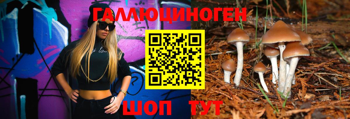 Галлюциногенные грибы Psilocybine cubensis Ивантеевка