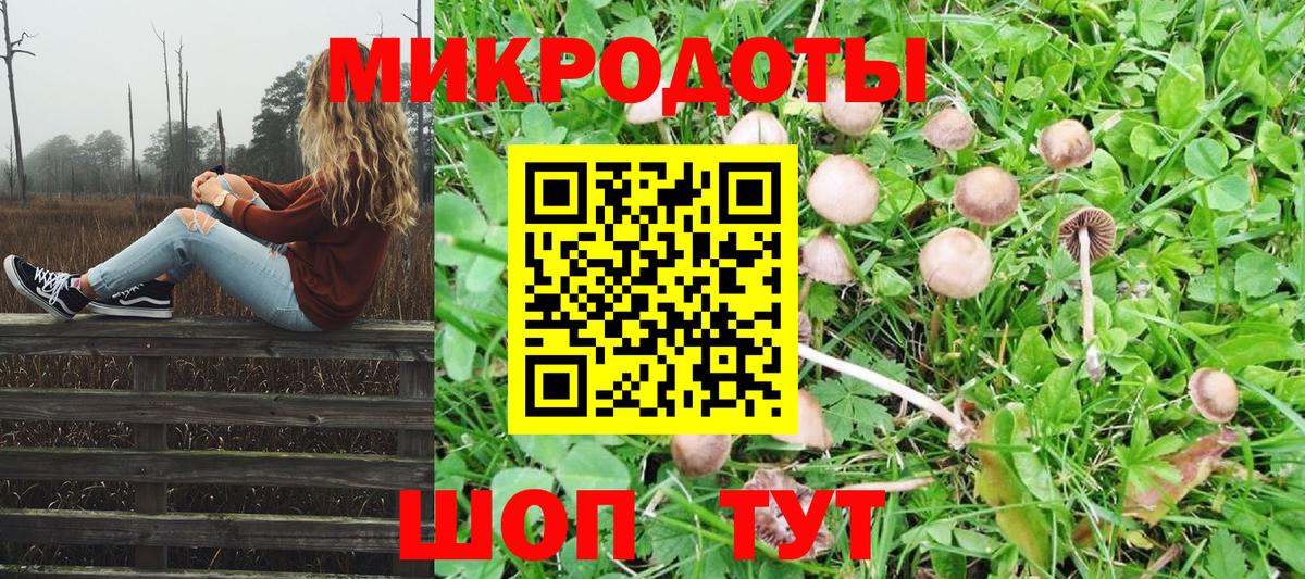 Галлюциногенные грибы Magic Shrooms  Вход с VPN  Ивантеевка 