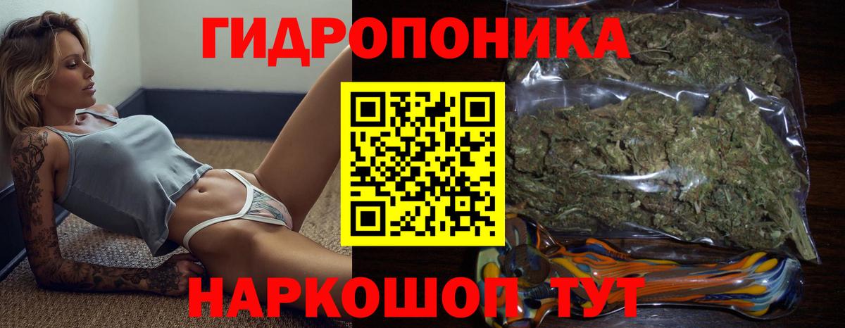 Ивантеевка  Канабис тримм  Вход с VPN  Бошки Шишки White Widow  Конопля план  Марихуана Ganja 